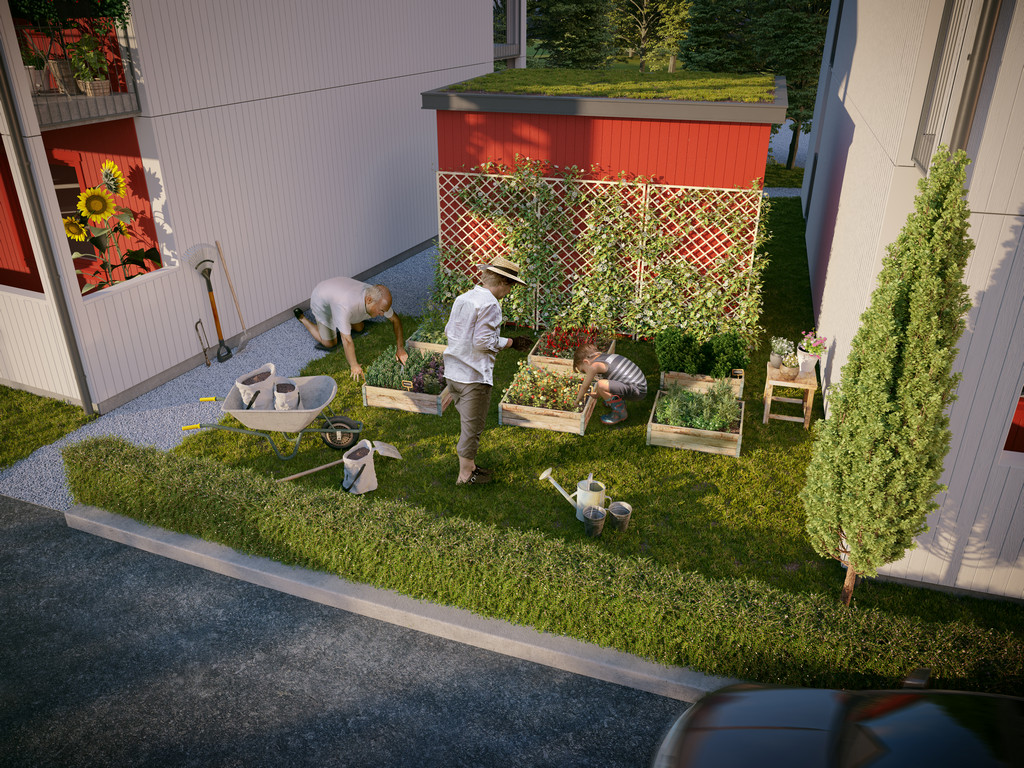 Arkitekturvisualisering 3D Visualisering Exteriör Fresta Kommunal Trädgård Odling Plantering